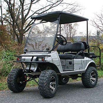 Buggies Unlimited - item 7461