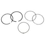 2008-Up EZGO RXV Gas - Standard Piston Ring Set