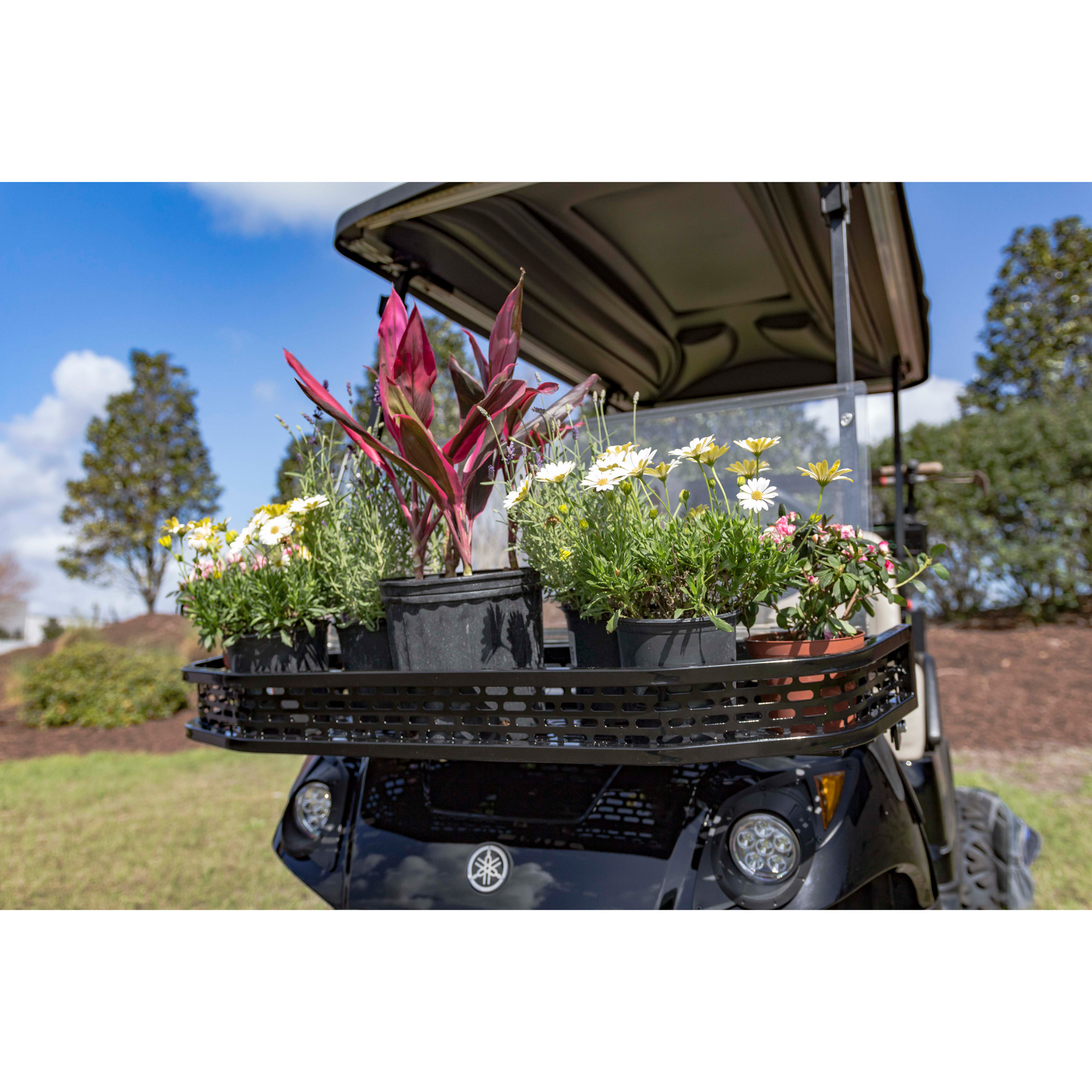 Buggies Unlimited - item pfx4011